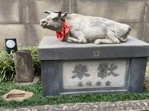 櫻天神社の狛犬