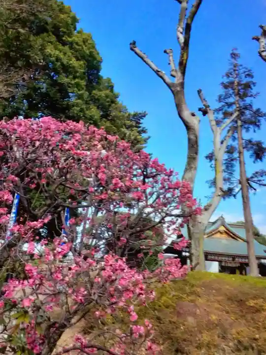 中野沼袋氷川神社(東京都)