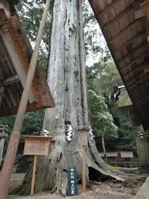 元伊勢内宮 皇大神社(京都府)
