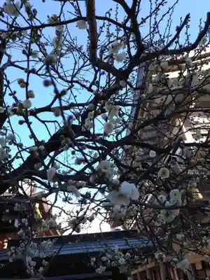 湯島天満宮(東京都)