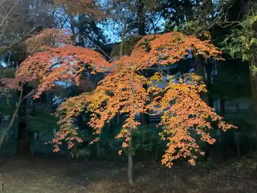東漸寺(千葉県)