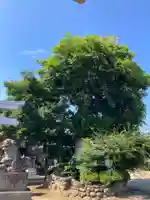 香取駒形神社(千葉県)