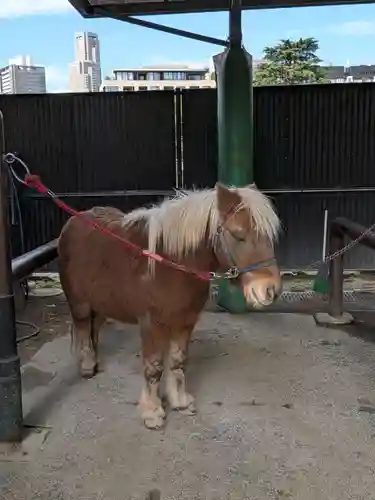 明治神宮(東京都)