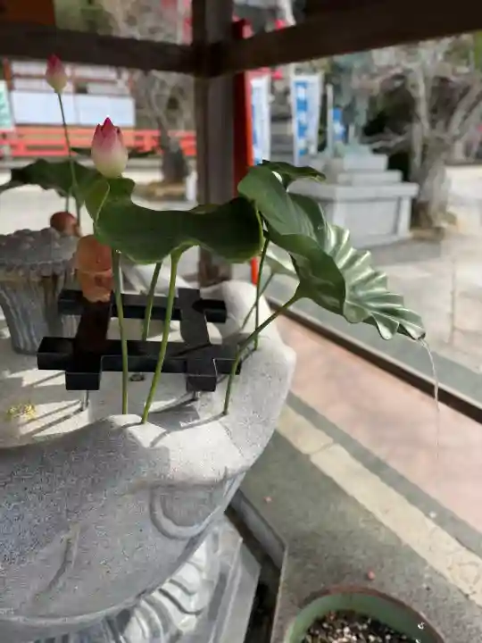 金剛宝寺(紀三井寺)の{uncategorized: "未分類", other: "その他", undefined: "問題あり", building: "その他建物", grave: "お墓", sacred_gate: "鳥居", guardian: "狛犬", statue: "像", buddha: "仏像", history: "歴史", nature: "自然", garden: "庭園", animal: "動物", pagoda: "塔", temizu: "手水舎", mountain_gate: "山門・神門", sanctuary: "本殿・本堂", subordinate: "末社・摂社", art: "芸術", scenery: "景色", jizo: "地蔵", ema: "絵馬", goshuin: "御朱印", omikuji: "おみくじ", items: "授与品その他", amulet: "お守り", goshuincho: "御朱印帳", eats: "食事", festival: "お祭り", votive_dance: "神楽", shichigosan: "七五三参", wedding: "結婚式", experience: "体験その他", initially: "初詣", around: "周辺", anti_infection: "感染症対策"}