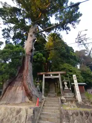 杉本神明神社(愛知県)