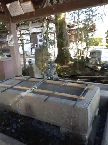 白鬚神社の手水舎