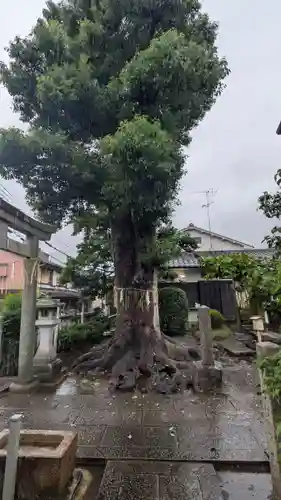 安樂寺天満宮(京都府)