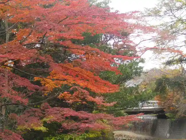 東勝寺跡の自然