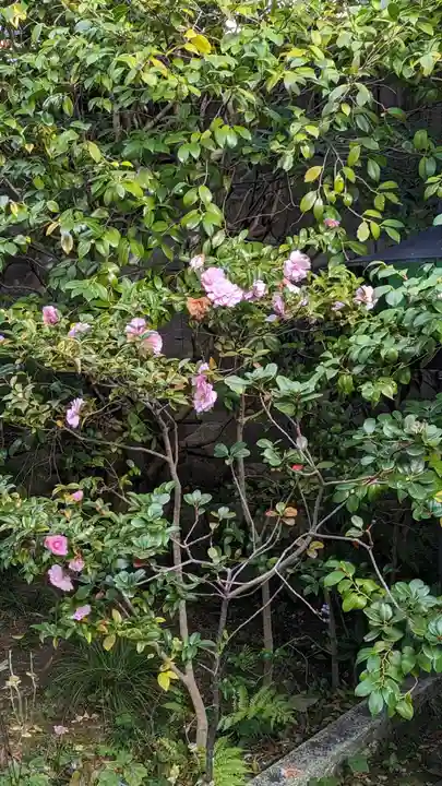 慈受院門跡(京都府)