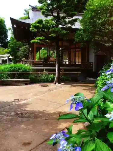 鳩森八幡神社(東京都)