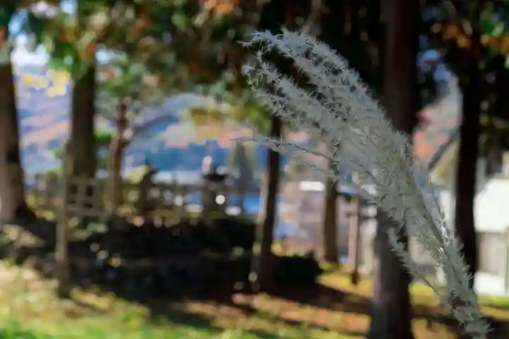 四ツ塚神社(長野県)