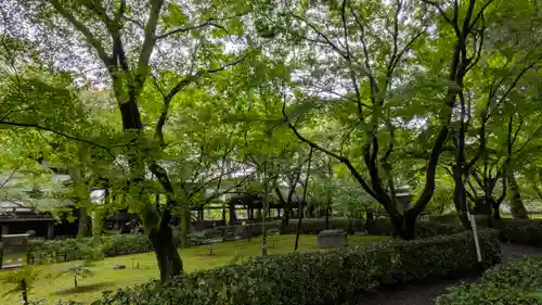 真正極楽寺（真如堂）(京都府)