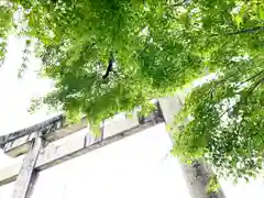 伊奈波神社(岐阜県)