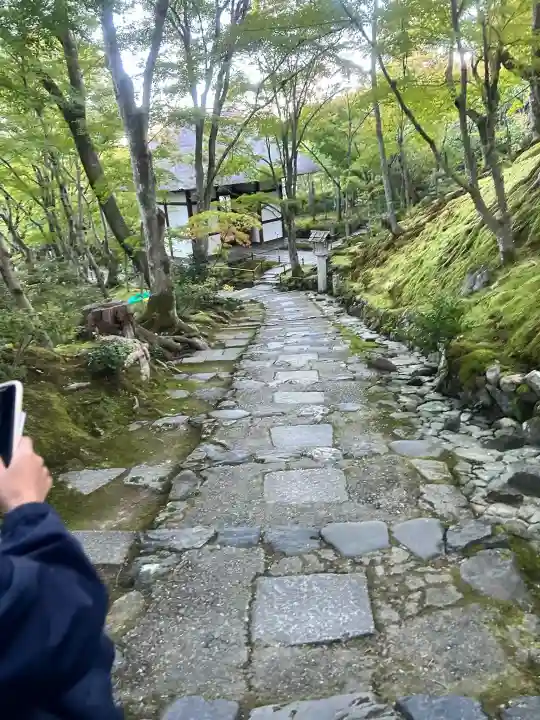 常寂光寺の{uncategorized: "未分類", other: "その他", undefined: "問題あり", building: "その他建物", grave: "お墓", sacred_gate: "鳥居", guardian: "狛犬", statue: "像", buddha: "仏像", history: "歴史", nature: "自然", garden: "庭園", animal: "動物", pagoda: "塔", temizu: "手水舎", mountain_gate: "山門・神門", sanctuary: "本殿・本堂", subordinate: "末社・摂社", art: "芸術", scenery: "景色", jizo: "地蔵", ema: "絵馬", goshuin: "御朱印", omikuji: "おみくじ", items: "授与品その他", amulet: "お守り", goshuincho: "御朱印帳", eats: "食事", festival: "お祭り", votive_dance: "神楽", shichigosan: "七五三参", wedding: "結婚式", experience: "体験その他", initially: "初詣", around: "周辺", anti_infection: "感染症対策"}