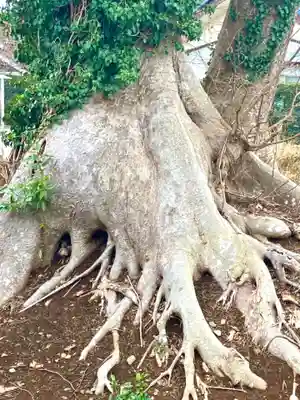 下岩崎観音堂(茨城県)