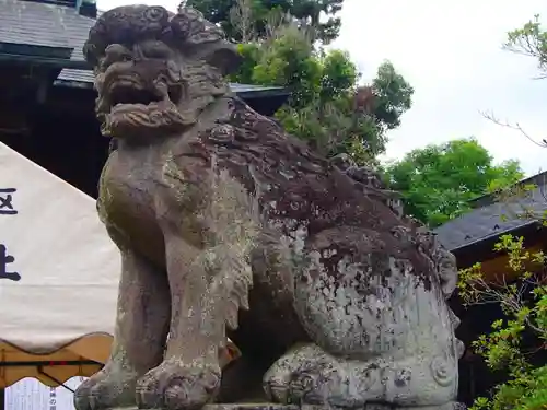 八雲神社の狛犬