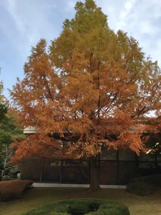 倭姫宮(皇大神宮別宮)の自然