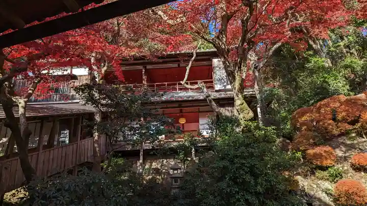 柳谷観音 楊谷寺(京都府)