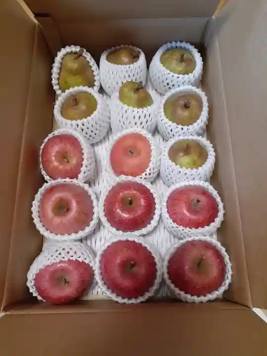 伏木香取神社(茨城県)