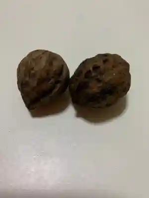 大龍寺(福島県)