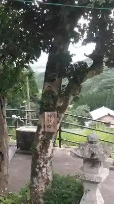 貫権現芝津神社(福岡県)