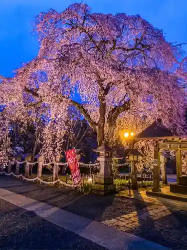 南湖神社(福島県)