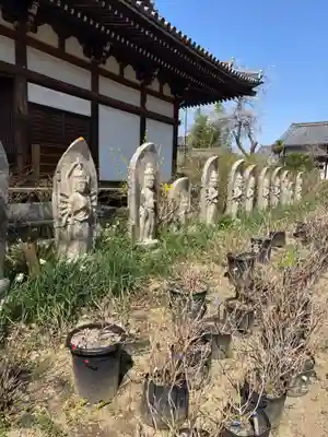 般若寺 ❁﻿コスモス寺❁(奈良県)