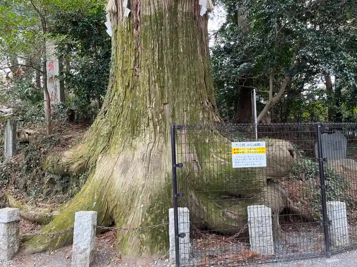高尾山薬王院(東京都)