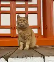 龍泉寺の動物