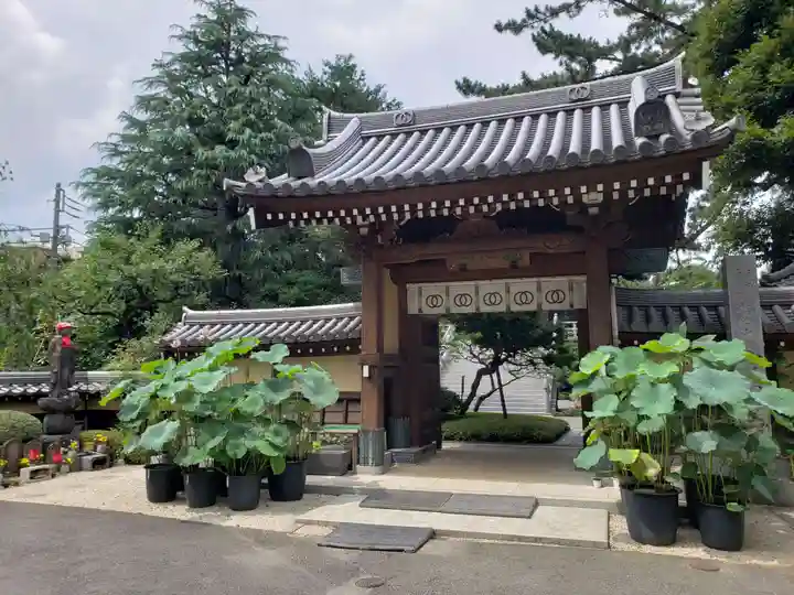 玄国寺の山門・神門