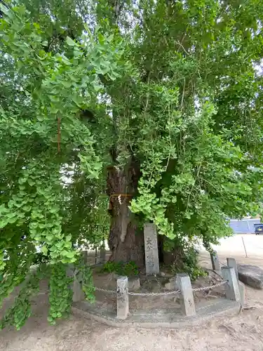 吉備津神社の自然