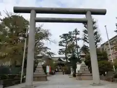 桜神宮の鳥居