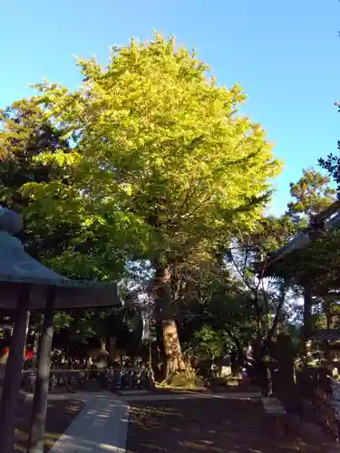 杉本寺(神奈川県)