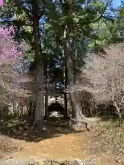 富士神社の自然