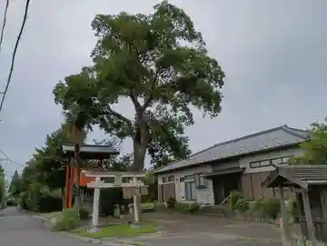愛宕神社(茨城県)