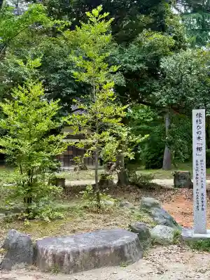 愛知県高浜市春日神社(愛知県)