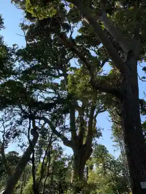 野田神社の自然
