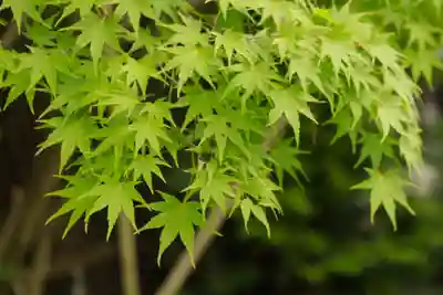 鍬山神社(京都府)