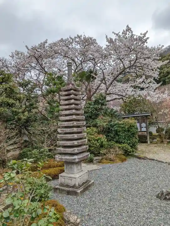 勝持寺(花の寺)の塔