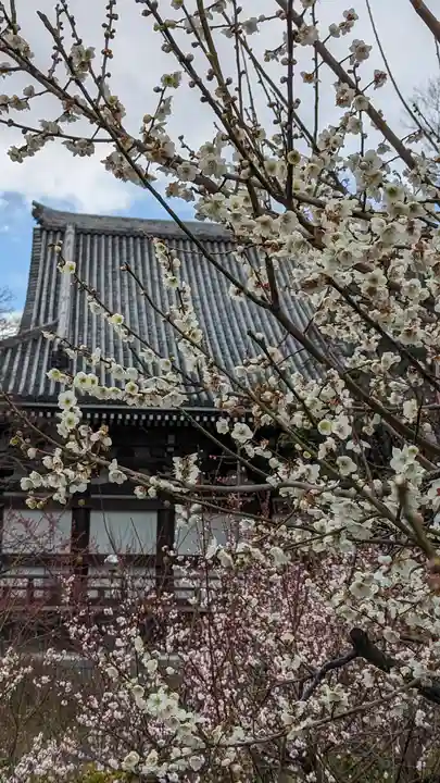 智積院(京都府)