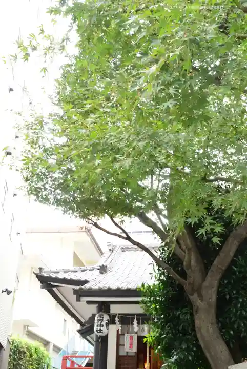 飯倉熊野神社(東京都)