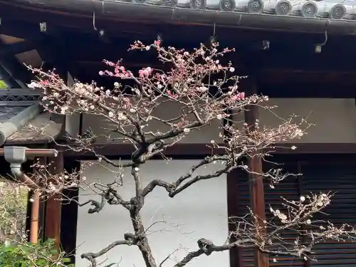 観智院（東寺子院）(京都府)