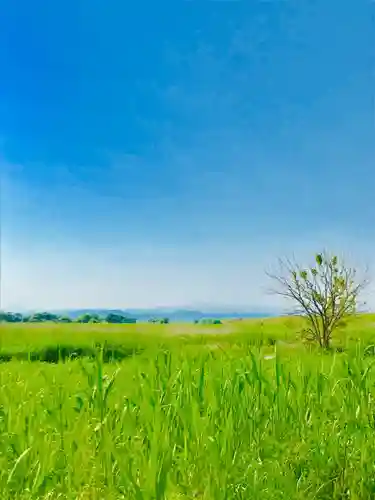 野木神社(栃木県)