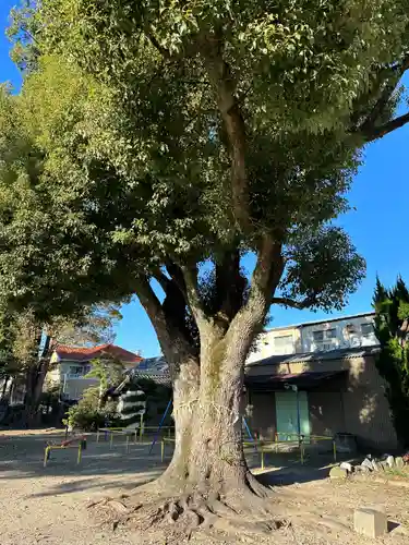 日長神社の自然