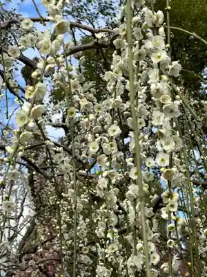 城南宮(京都府)