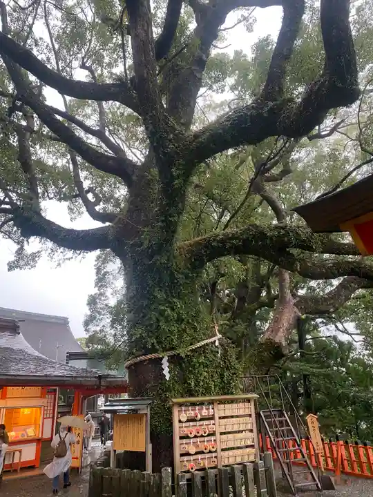 熊野那智大社(和歌山県)