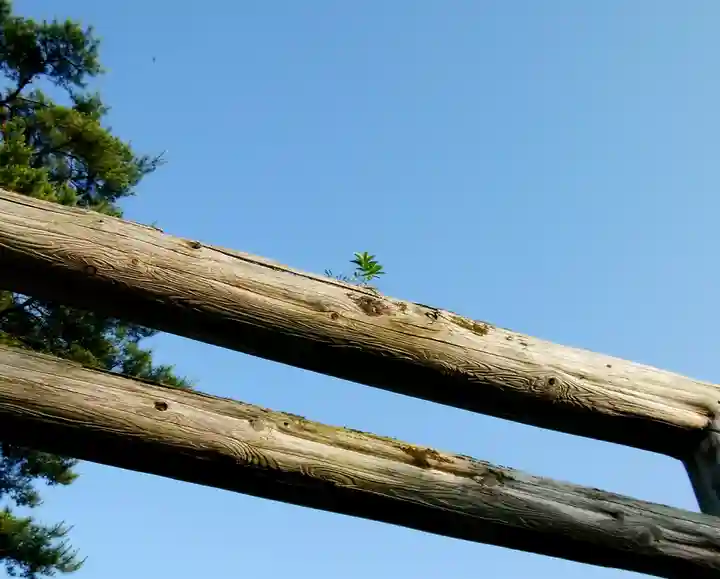 飯生神社(北海道)