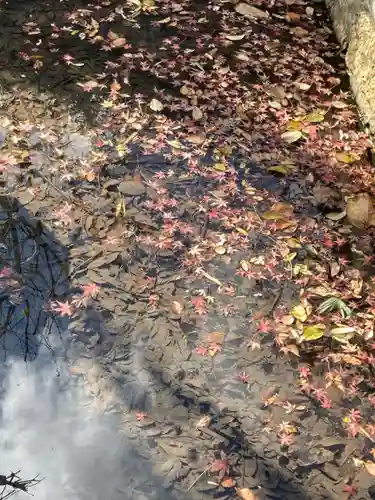 善福寺(兵庫県)