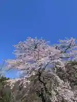 国宝 大法寺(長野県)