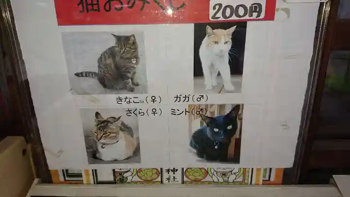 前玉神社のその他建物